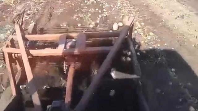 Уборка картофеля самодельной двухрядной картофелекопалкой