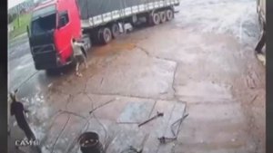 TOTAL IDIOTS AT WORK #9