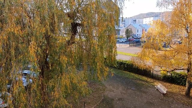 Франция. Колхоз "по стаскали". Кинь ключи! Простая русская дева из глубинки. Кохозницы и аристократ смотреть онлайн