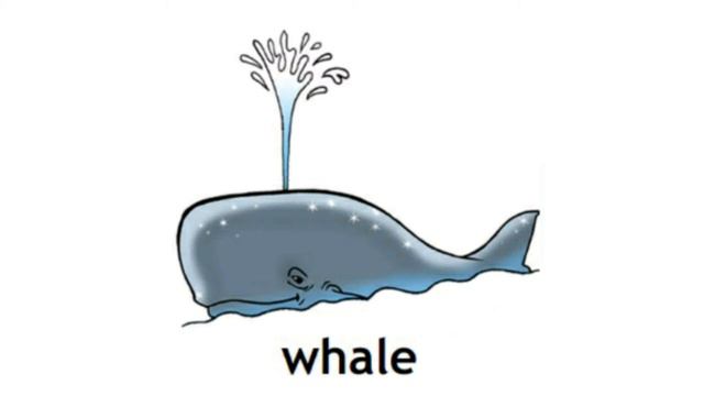 How to Pronounce Whale in British English