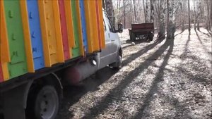 пасека берендей новое увлекательное хобби для начинающтх пчеловодов