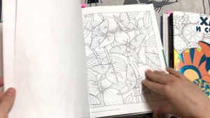 Раскрашивательные планы на Июнь / Что я хочу раскрасить в июне
