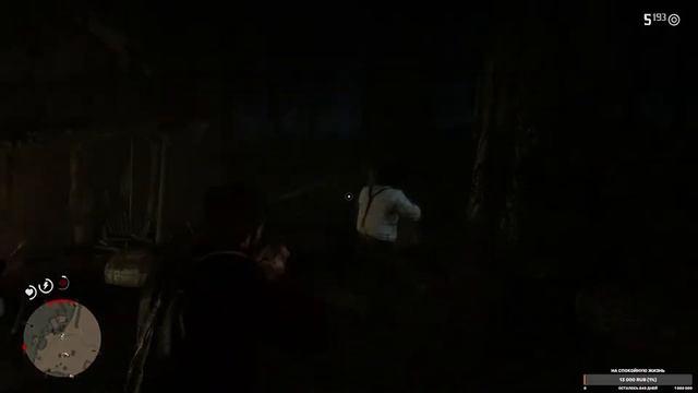 Red Dead Redemption 2 #16