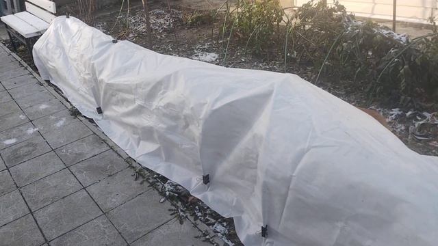 Укрытие роз на зиму. смотреть онлайн