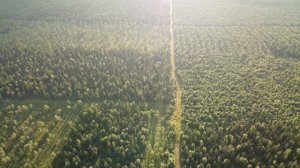 Хариусный камень 1008242