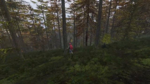 DAYZ | СОЛО ВОИН НА ВАНИЛЕ | ДЖАМБО В ДЕЛЕ смотреть онлайн