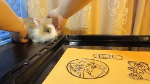 КРОЛИК БАФФИ И ЗНАЧКИ! КАК СДЕЛАТЬ ЗНАЧОК? Делаем своими руками значки на портфель DIY на руском
