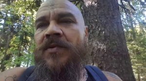 Радосвет Благовест - место Силы Шуваловский парк.