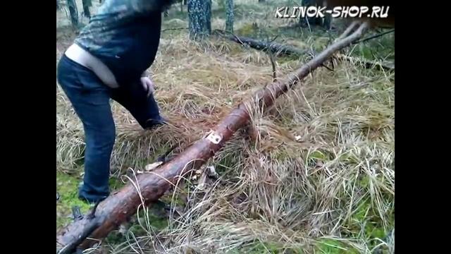 Использование мачете в лесу. Часть 1.