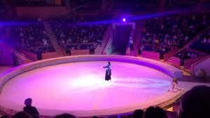 Девочка и слон. В первый раз в цирке.