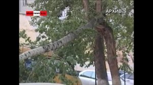ТАУ Шеремет. "Асбест - родина гниющих после урагана тополей?"