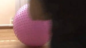 "Сосновый Бор". Отдых студентов филиала ТюмГНГУ