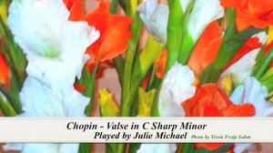 Valse in C Sharp Minor - Chopin (snippet)