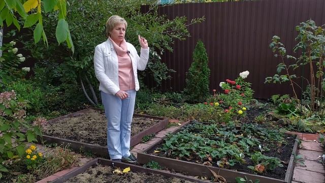 Основные работы в саду в октябре ? Завершаем дачный сезон / Садовый гид