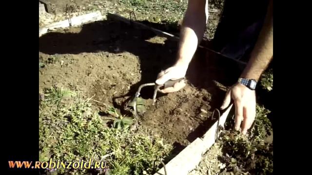 Плоскорез не_Фокина смотреть онлайн