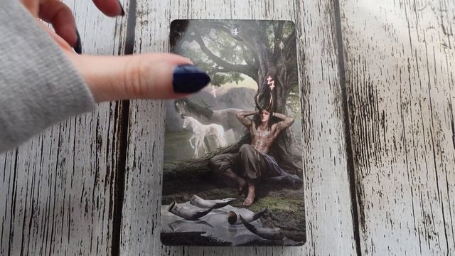 Runic Tarot Kit - LOSCARABEO - Flip Through 4K