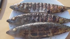 Превосходная скумбрия на углях.Это очень вкусно!