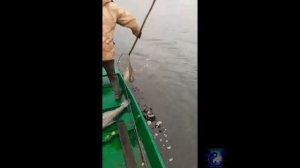 Вот это улов #Shorts