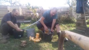 Супер дробилка для тыквы