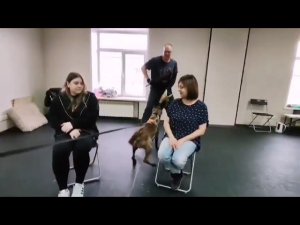 Найтли Смарт Герда