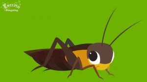Kids vocabulary - Bugs - Learn English for kids - English educational video