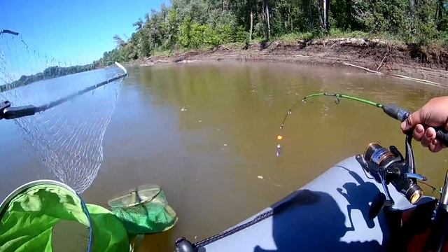 Бешеный клев огромных лещей и сазана на пенопласт и кукурузу. смотреть онлайн