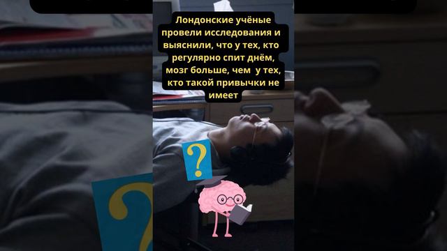 А вы знали? Дневной сон очень полезен #facts #shortsvideo #интересныефакты #daily #интересно