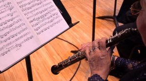 Красноярский филармонический русский оркестр имени А.Ю. Бардина. Промо ролик