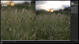 Sony A7RIV vs A7III Real World Comparison