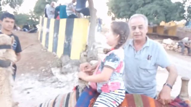 Прикол - верхом на верблюде))) смотреть онлайн