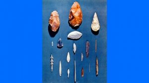 Чем питались древние люди???