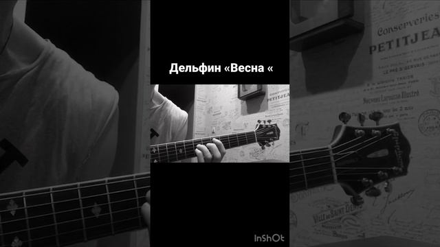 Дельфин «весна»#нагитаре #песнинагитаре #песни#гитара #дельфин #гитарист