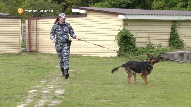 Сюрприз от полицейских для маленькой оскольчанки