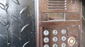 Ошибка Busy на домофоне Eltis DP300 TDC22