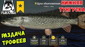 РАЗДАЧА ТРОФЕЙНОЙ ЩУКИ НА НИЖНЕЙ ТУНГУСКЕ В РУССКОЙ РЫБАЛКЕ 4 РР4