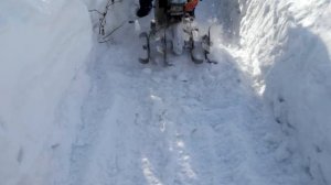 Мотокультиватор "Крот" против снега.