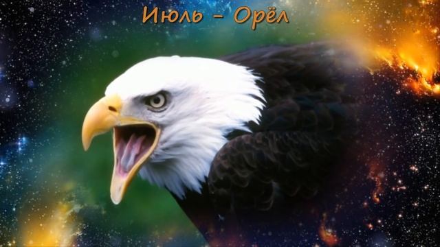 ПТИЦА-ПОКРОВИТЕЛЬ МЕСЯЦА РОЖДЕНИЯ ОТКРОЕТ СЕКРЕТЫ ЛИЧНОСТИ