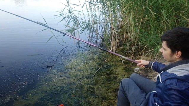 Рыбалка мега клев. Только успевай доставать!
