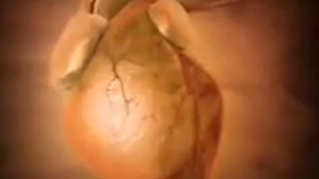 Знаете ли вы.... смотреть онлайн