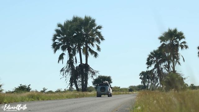 COOPER TIRES ST/MAXX 50 000KM’s Review | ARE THEY WORTH IT? смотреть онлайн