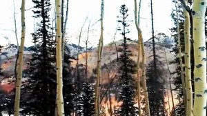 ПРЕМЬЕРА."ЕСЛИ ВЕРИТСЯ ,ВЕРЬ"..Поёт Дмитрий Святозар.Стихи Татьяны Дагаевой.Монтаж Лилии Кирьяновой