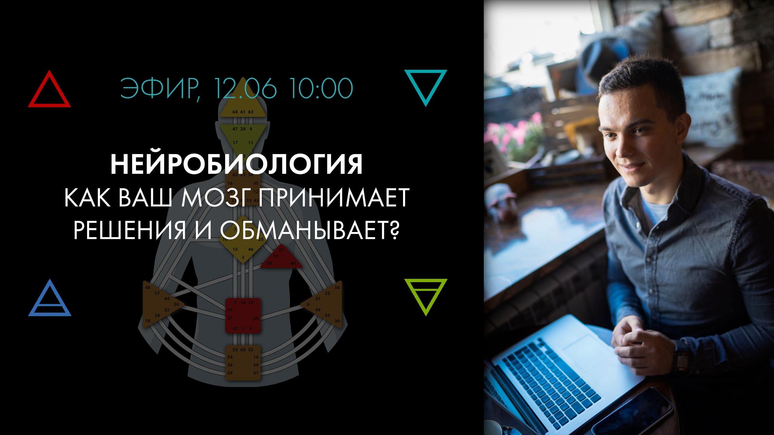 Нейробиология. Принципы и сети мозга, соотношение с Астродизайном