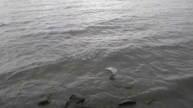 рыбалка в амурском заливе без цензуры смотреть онлайн