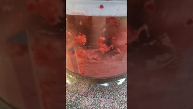 Мороженое без сливок за 1 минуту! Проверил рецепт! #foodmanshow смотреть онлайн