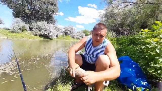 Мариупольцы в Астрахани на рыбалке? - Жарим карасей? на костре смотреть онлайн