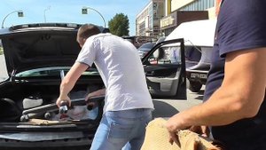 Коптим гуся. Из города в деревню 195 серия.