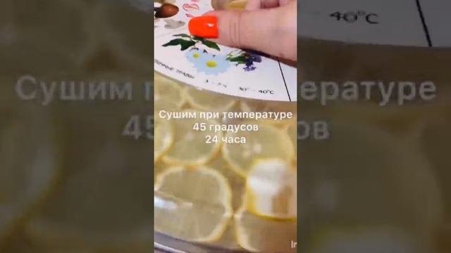 Лимоны сушим в электросушилке