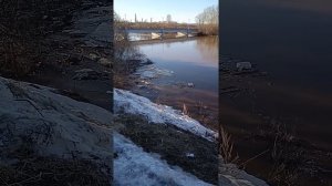 Река Чепца 2021 год