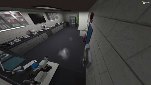 LSPD | Государственная организация на GTA 5 RP! смотреть онлайн