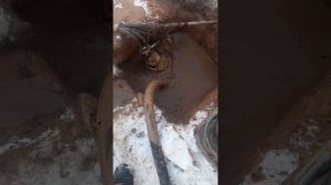 Шламовый насос. Буровой насос.